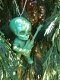 Dead Beats - Green Guitarist - Hanging Ornament
